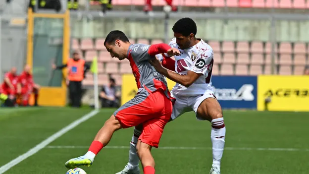 Cremonese vs Torino highlights