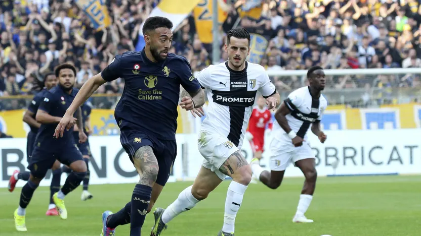 23311878_large (1).jpg