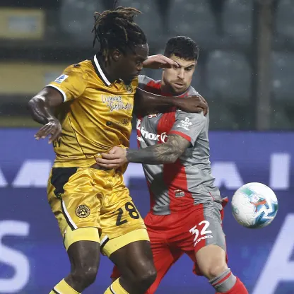 Cremonese vs Udinese: photos