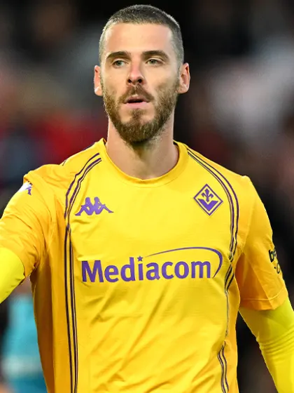 Fiorentina: obiettivo Europa