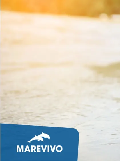 Scendi in campo anche tu per proteggere il mare