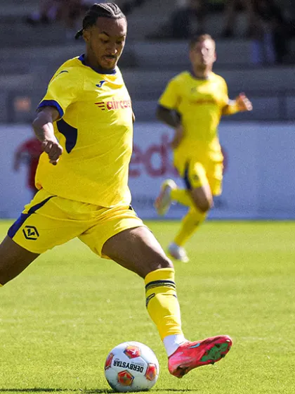 Hellas Verona: operazione salvezza